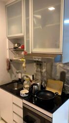 Parc Rosewood (D25), Condominium #597501991